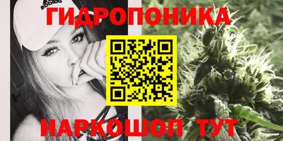 стаф Можайск