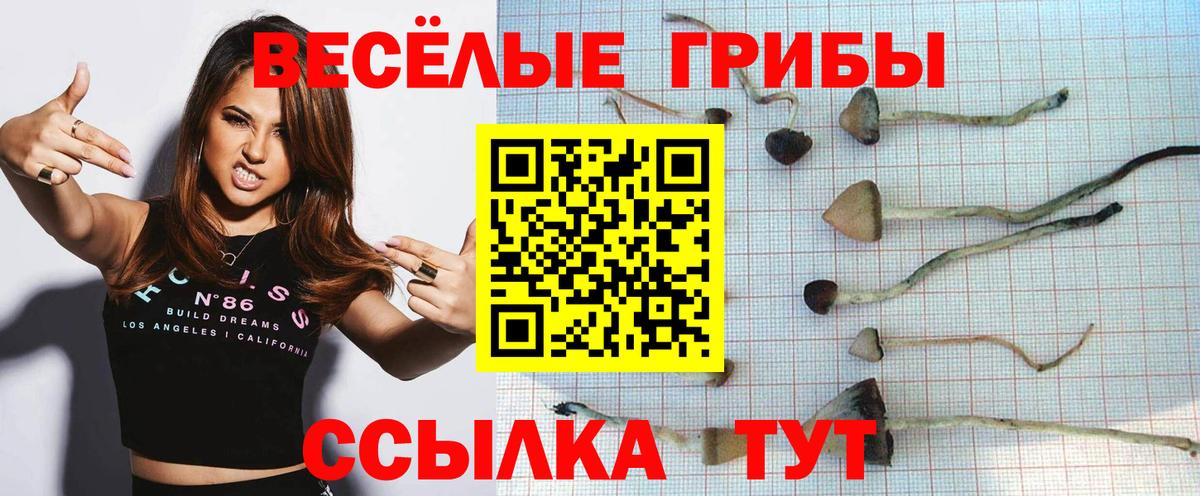 Псилоцибиновые грибы GOLDEN TEACHER  Вход с VPN  Тулун 